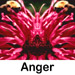 anger quotes
