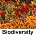 biodiversity quotes