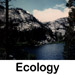 ecology quotes