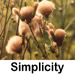 voluntary simplicity quotes